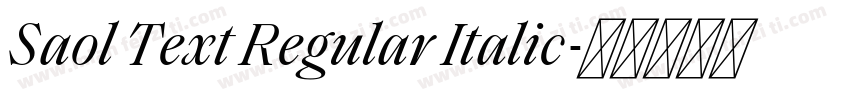 Saol Text Regular Italic字体转换